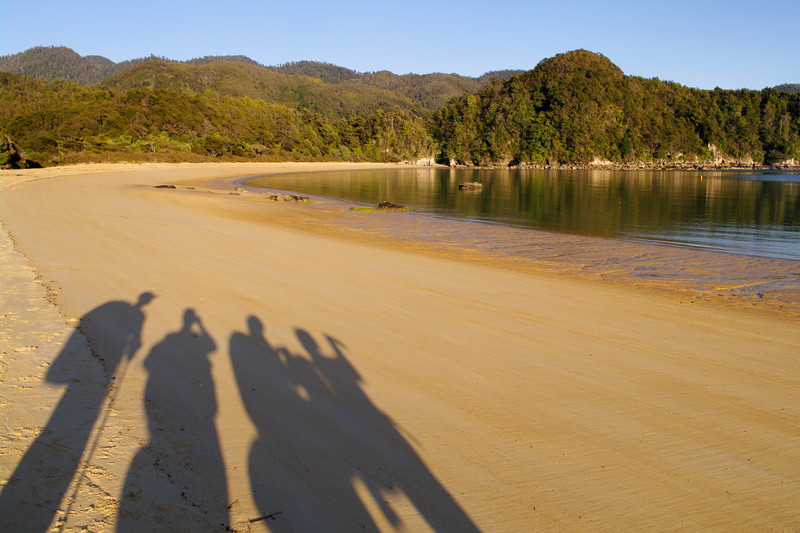 Early light casts long shadows in the untramped sand in Anchorage Bay along the Abel Tasman Coast Track