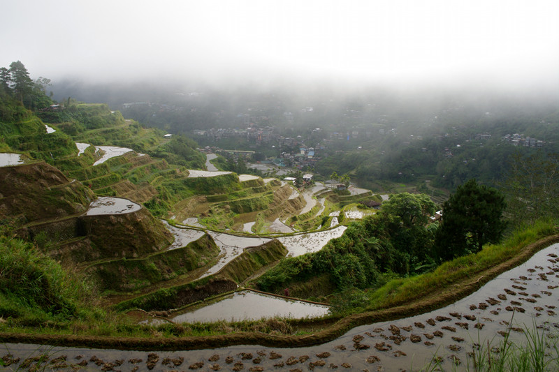 Banaue rice terraces in the fog