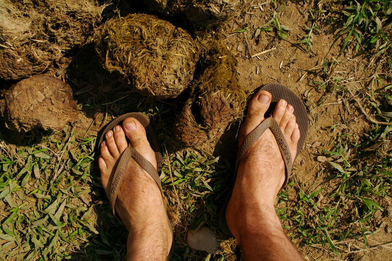 Dirty feet and elephant poop at Elephant Nature Park in Chiang Mai, Thailand
