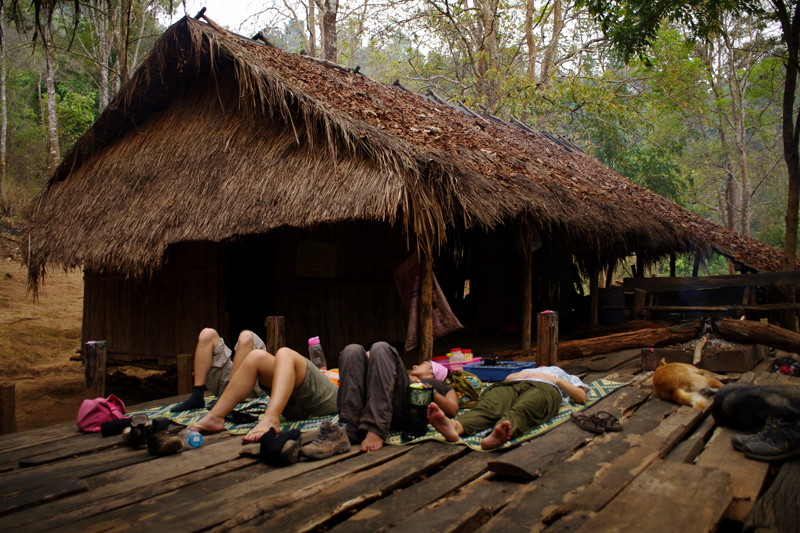 Volunteers laying down on the Elephant Haven treehouse at Elephant Nature Park in Chiang Mai, Thailand