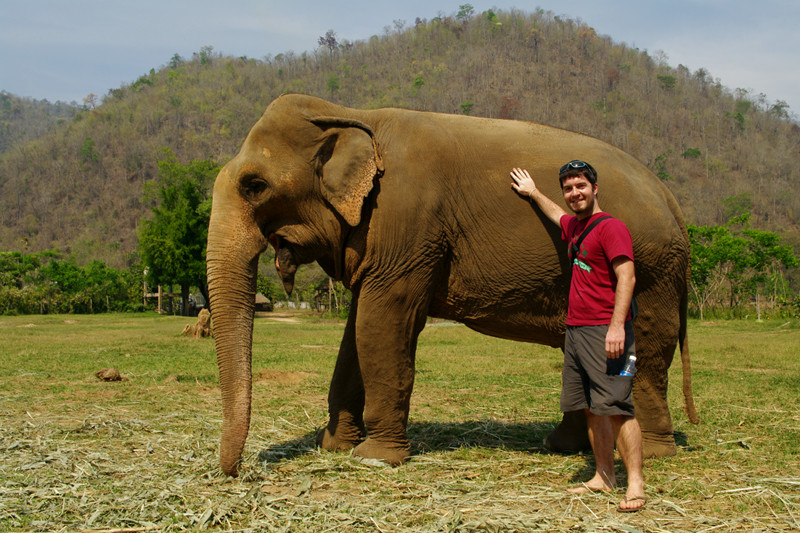 Justin posing with one of the elephants at Elephant Nature Park in Chiang Mai, Thailand