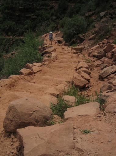 steps carved into the trail