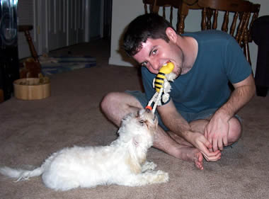 justin playing tug of war with gus the dog