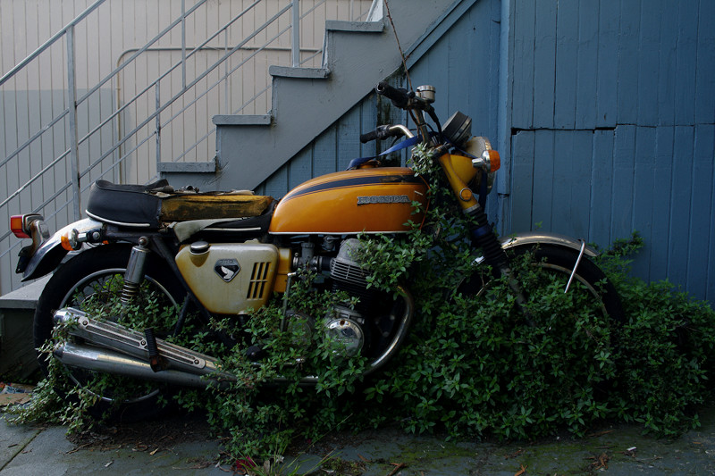Honda CB750 (motorcycle) in the weeds
