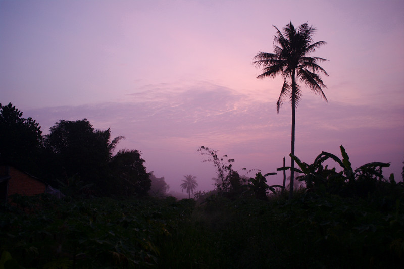 Pink dawn on the Mekong