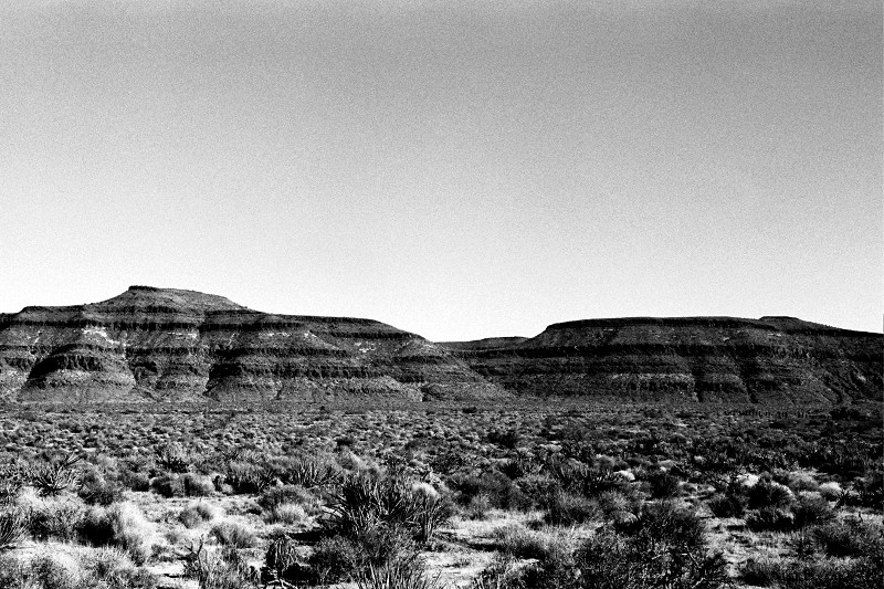 Mojave National Preserve landscape in black and white