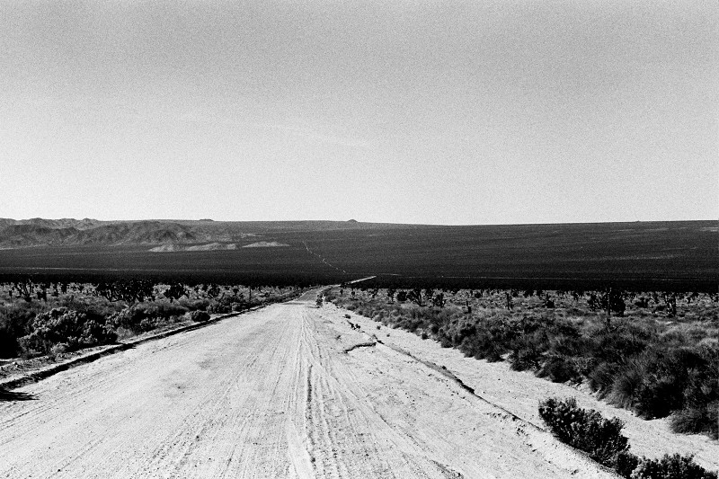 Mojave National Preserve landscape in black and white