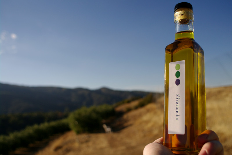 Olivarancho's olive oil in the bottle