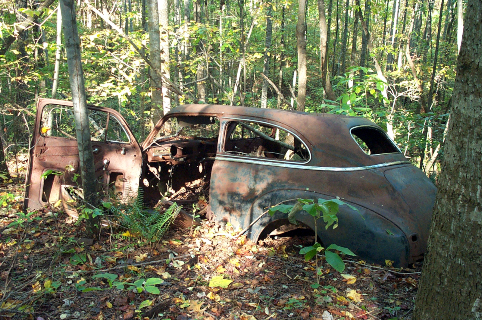 old car found hiking in woods