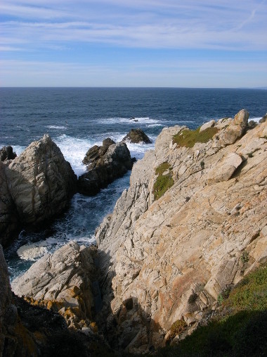Point Lobos view