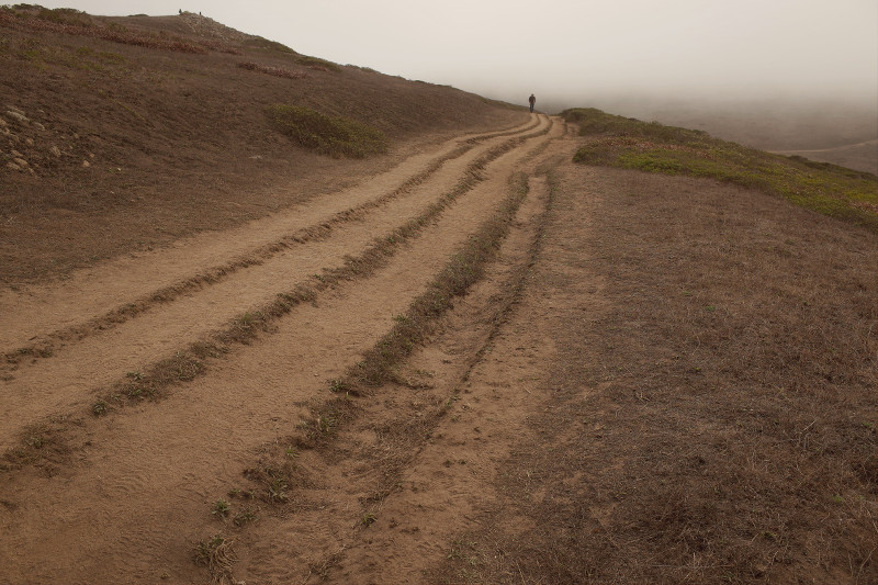 Tomales Point Trail at Point Reyes in the fog