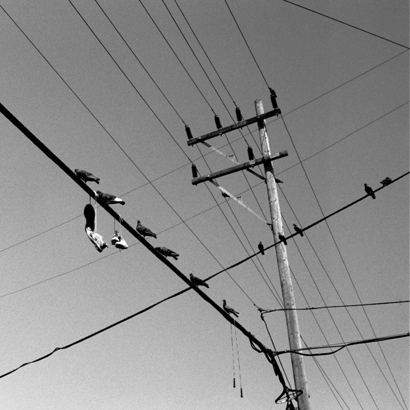 Pigeons, two pairs of shoes, and a jump rope on the power lines
