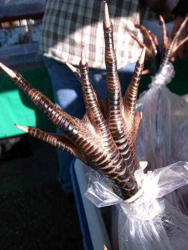 Rooser claws sticking out of a bag