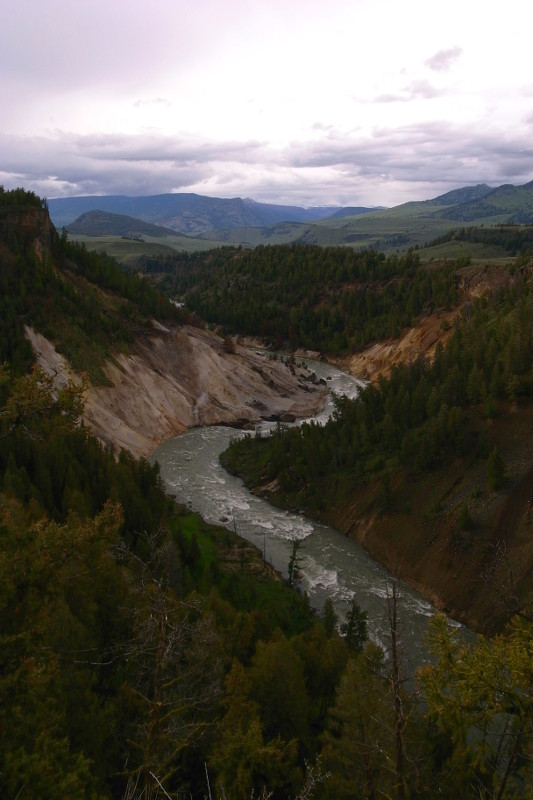Yellowstone River near Tower Fall