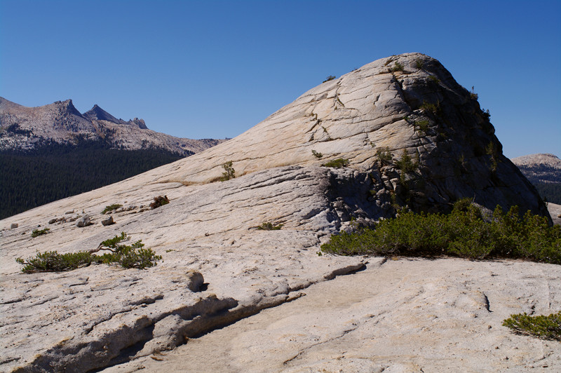 Lembert Dome in Yosemite National Park