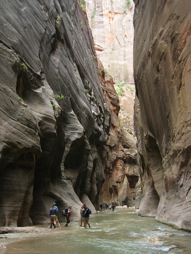 One more view of The Narrows in Zion National Park