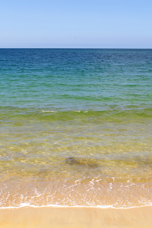 Spectrum of colors in the water at Anchorage Bay along the Abel Tasman Coast Track
