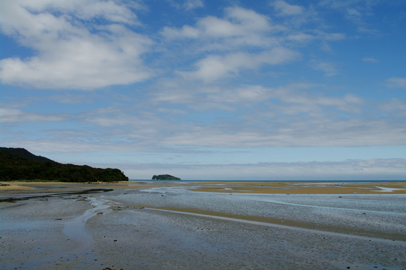 View towards the sea at the start of the Abel Tasman Coast Track