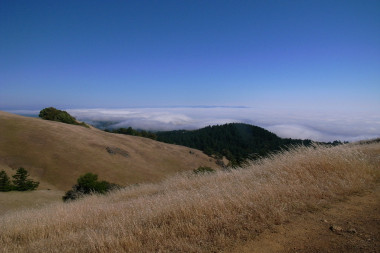 Above the fog