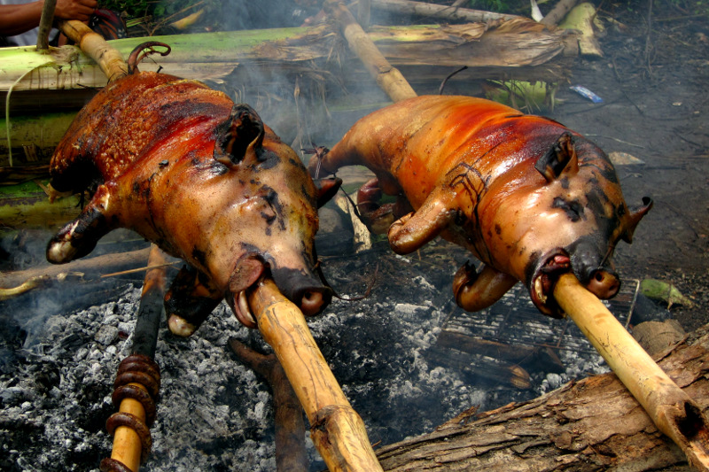Two babi gulings being roasted on a spit in Amed, Bali