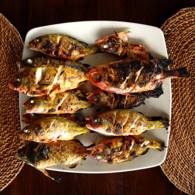 amed fishing grilled fish