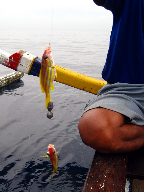 amed fishing two at once