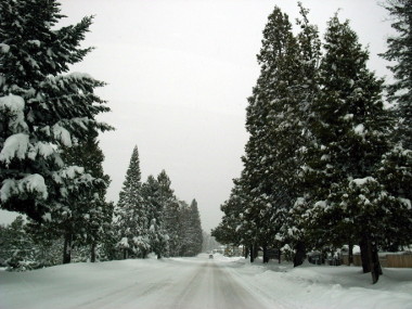 Arriving in Mount Shasta, California