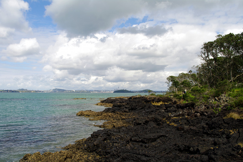 Rangitoto Island's lava rock coastline