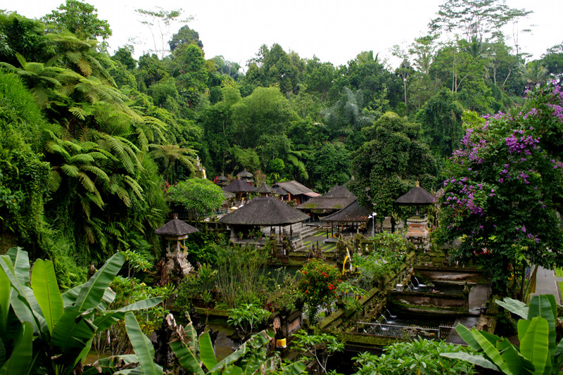 Bali's Tirtha Empul, the Holy Spring Water Temple