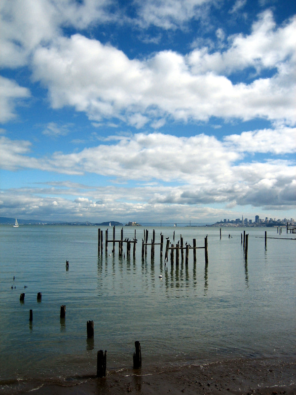 Birds on old pier pylons looking towards San Francisco