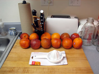 12 blood oranges and a juicer