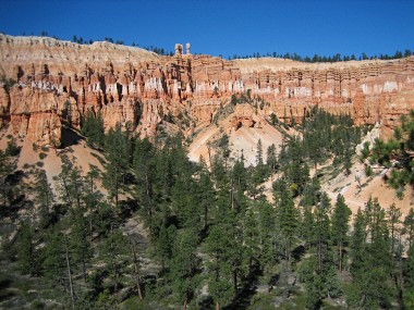 Bryce amphitheater from the Peekaboo trail