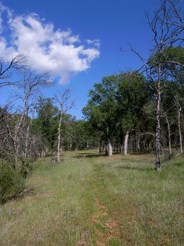 Cache Creek Canyon Frog Pond Trail