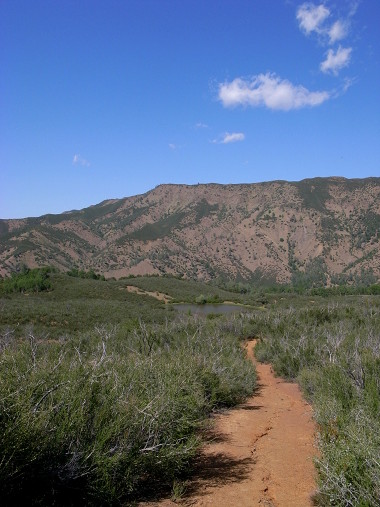 Cache Creek Canyon Frog Pond