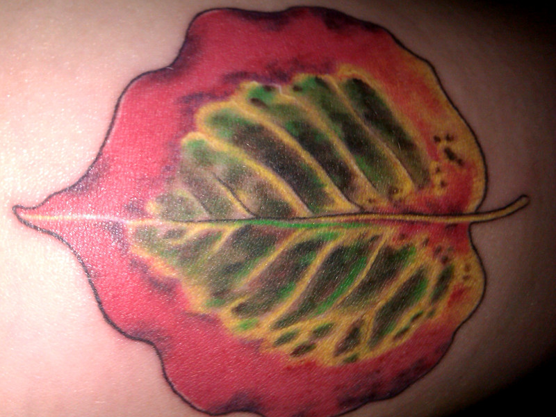 Tattoo by Ellen at Chameleon Tattoo & Body Piercing of my Callery pear leaf photo for Mel Goldsipe