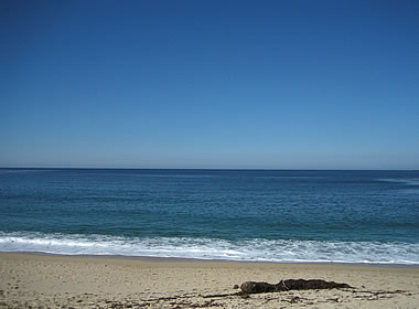 View of the Pacific from Carmel River State Beach in California