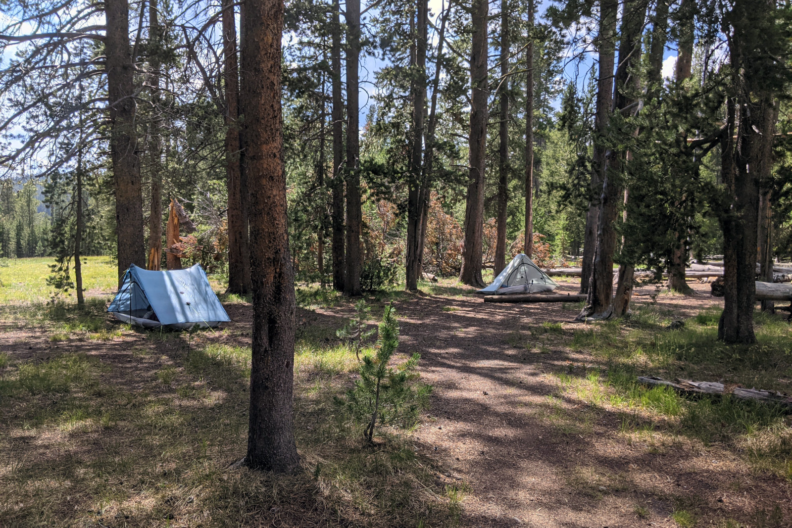 Backcountry Campsite #OA1 Lone Star