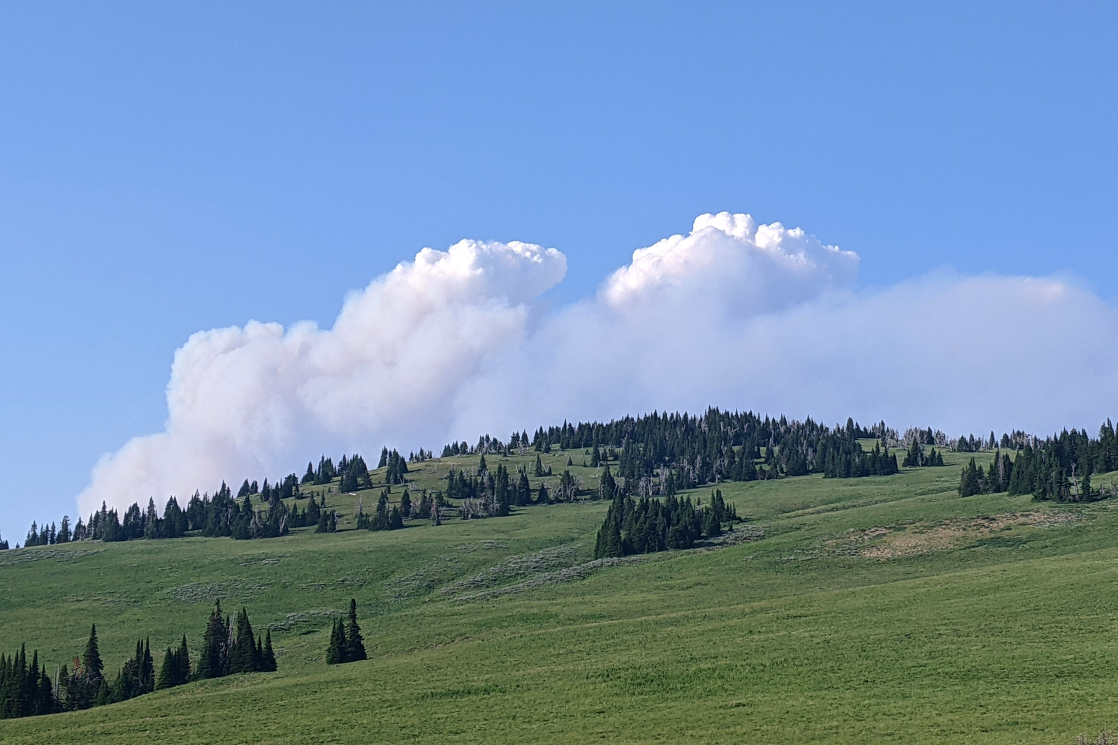 Smoke plume from a nearby forest fire seen from Keg Springs Road near Island Park, Idaho