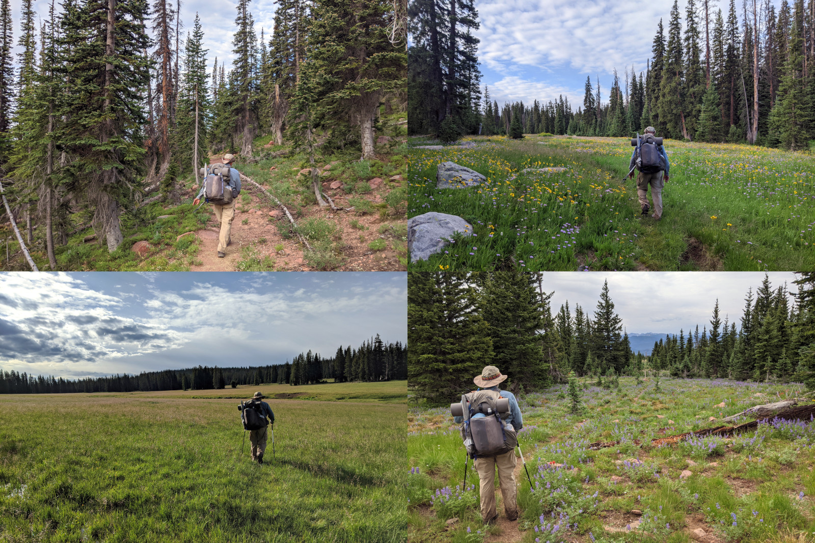 Collage of 4 photos of Dad on the CDT in the Huston Park Wilderness