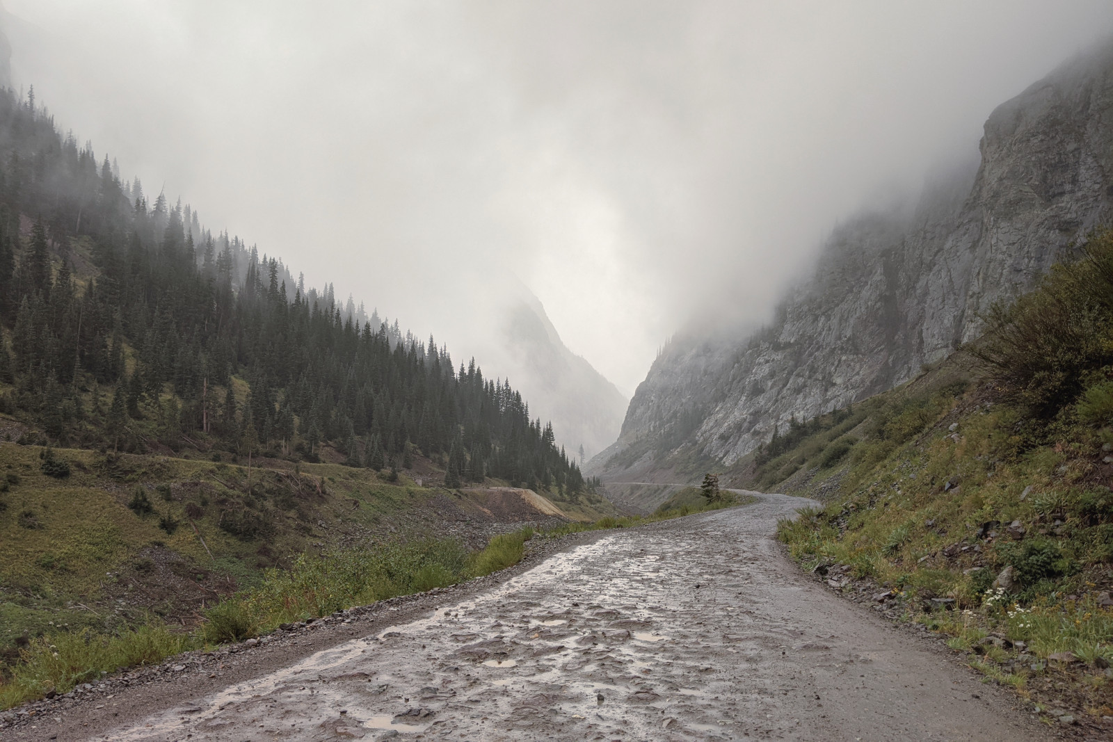 The misty road to Stony Pass