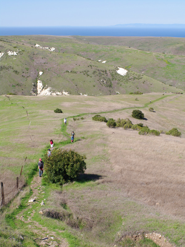 Scorpion Canyon Loop Trail on Santa Cruz Island, part of Channel Islands National Park