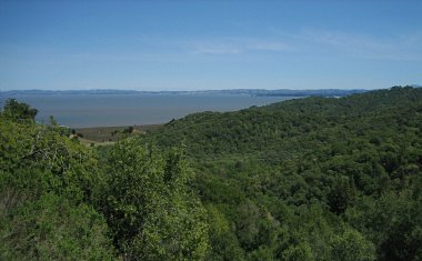 San Pablo Bay view as seen from China Camp State Park