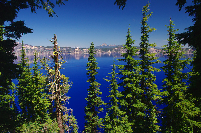 Crate Lake seen through Pine Trees