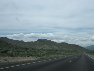 green nevada desert