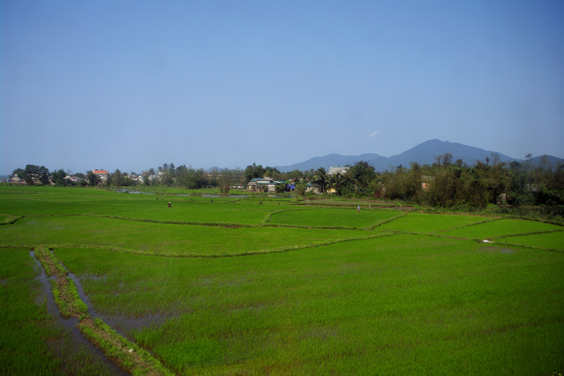 View out the train on the way from Đà Nẵng to Hanoi, Vietnam