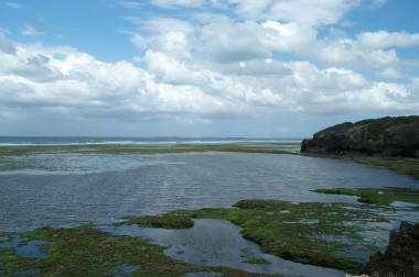 the indian ocean at low tide