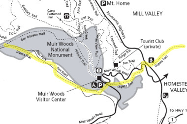 Dipsea trail map, through Muir Woods