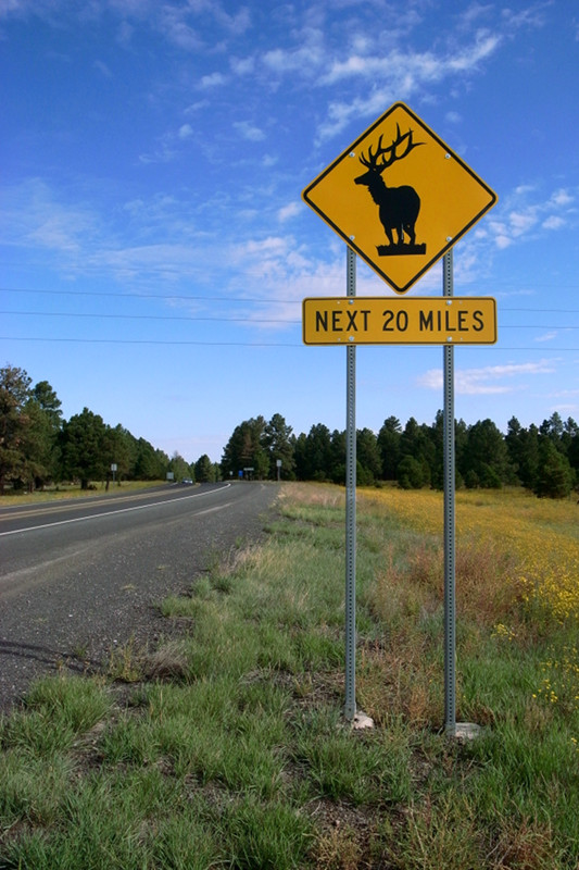 Elk warning road sign