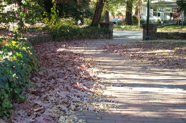 leaves along brick sidewalk