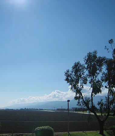 The view out the Motel 6 hotel room in Salinas, California